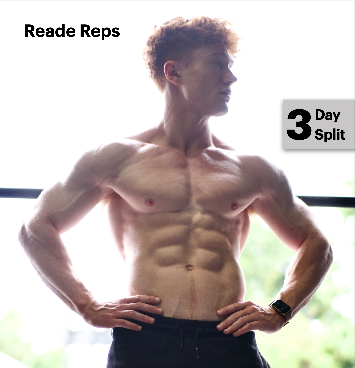 3 Day Muscle Builder - 10 Week Program